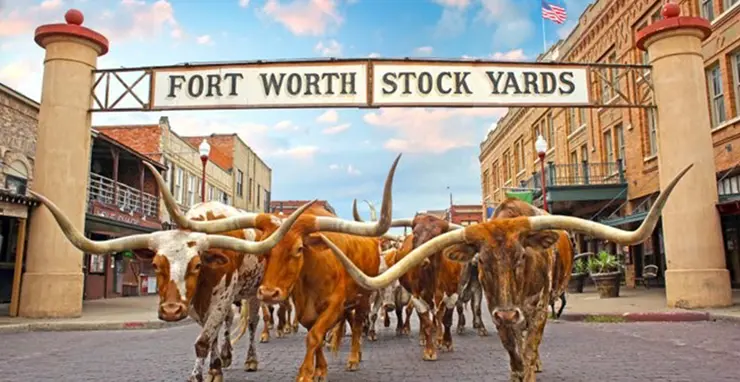 Ft Worth Stockyards
