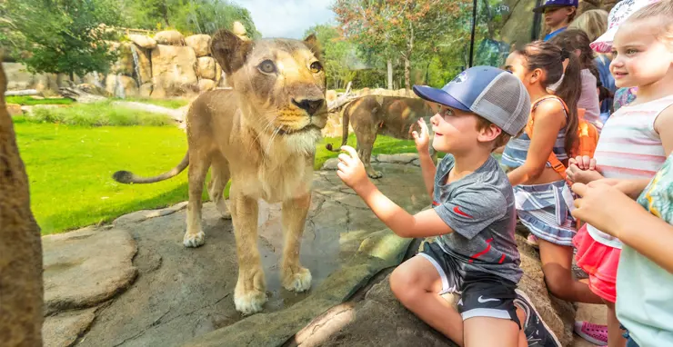 FTW Zoo Card